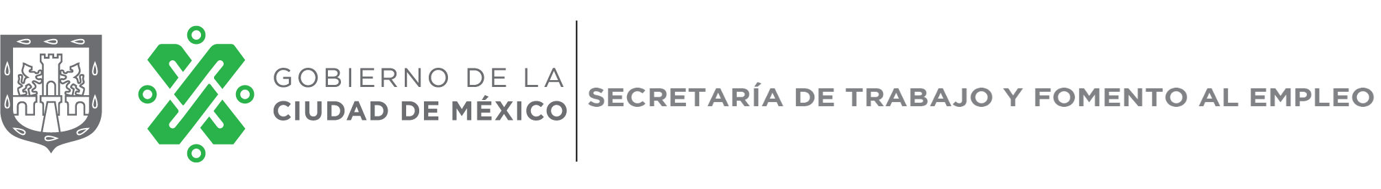 logo styfe